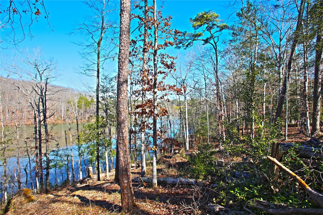 Lot 51 Harbor Point Seneca, SC 29672 - Photo 26 of 35