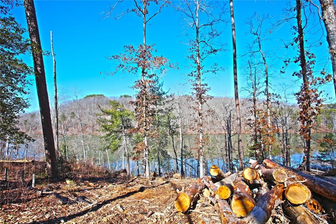 Lot 51 Harbor Point Seneca, SC 29672 - Photo 27 of 35