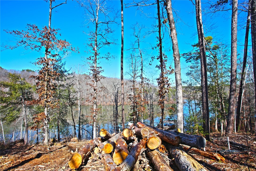 Lot 51 Harbor Point Seneca, SC 29672 - Photo 28 of 35