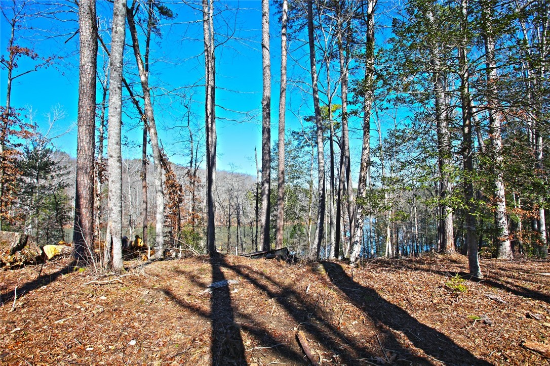 Lot 51 Harbor Point Seneca, SC 29672 - Photo 30 of 35