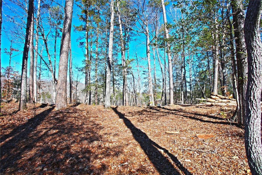 Lot 51 Harbor Point Seneca, SC 29672 - Photo 31 of 35