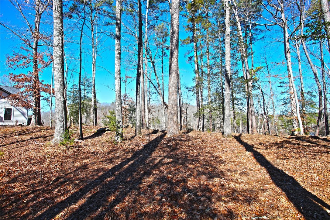 Lot 51 Harbor Point Seneca, SC 29672 - Photo 32 of 35