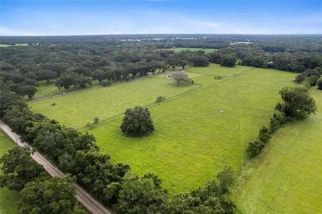 a view of a garden with a bench