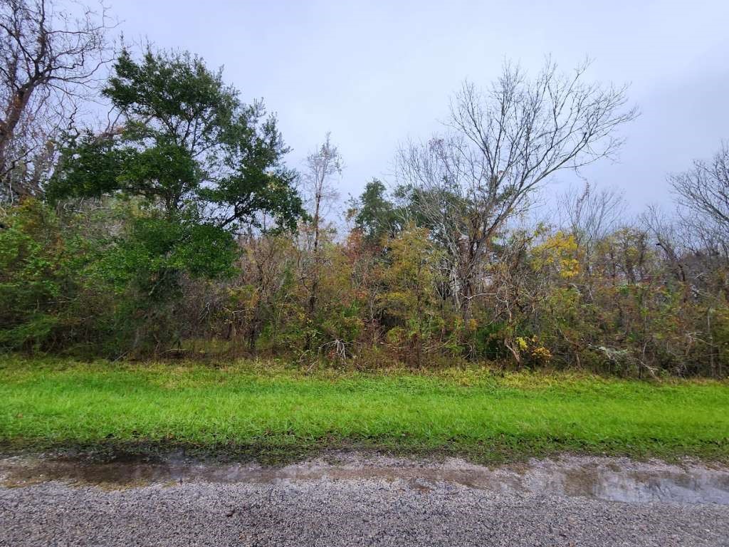 0 County Road 279 Road Bay City, TX 77414 - Photo 2 of 2