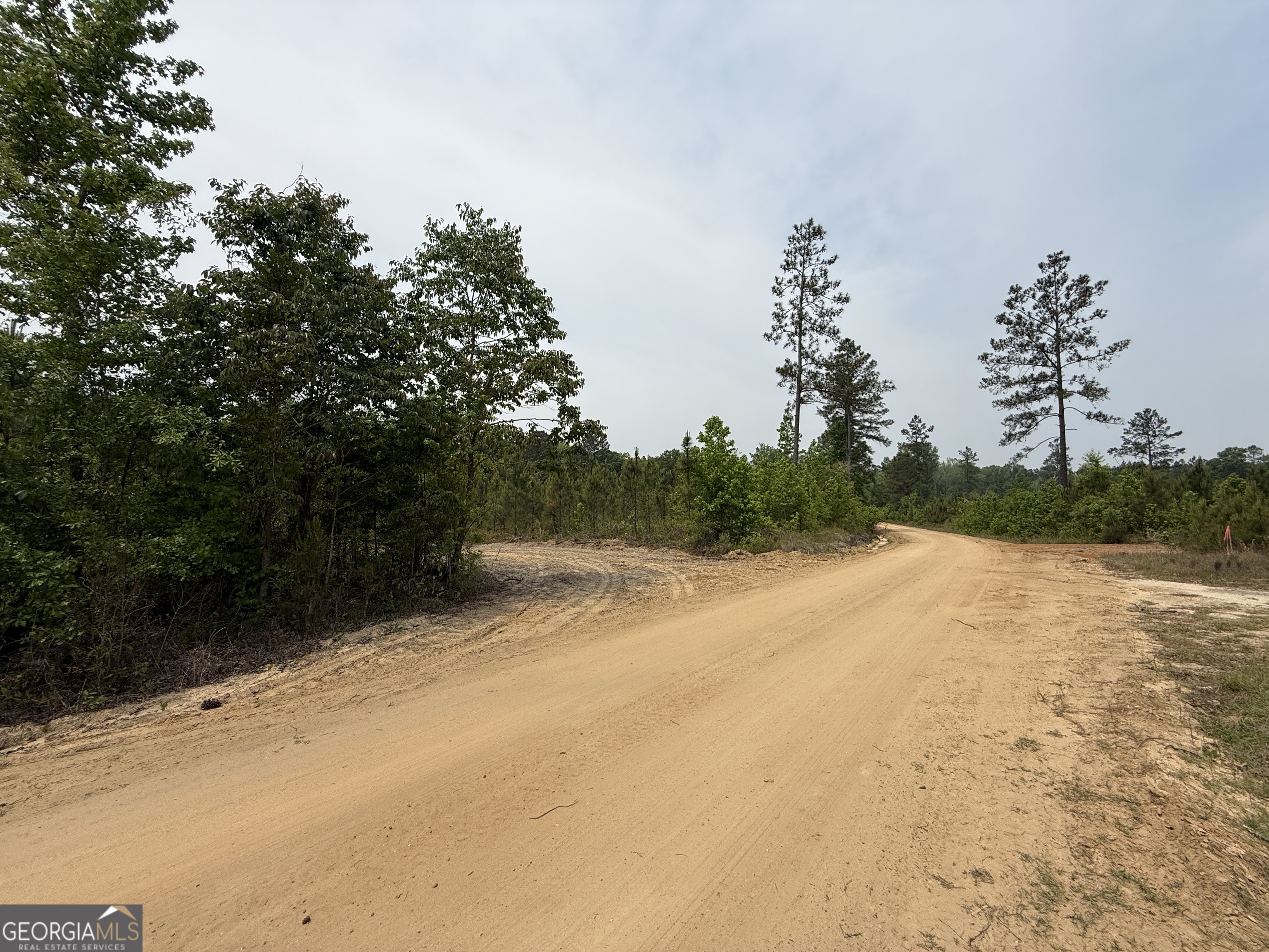 13 Graham Lane Cadwell, GA 31009 - Photo 6 of 11 a view of lake and mountain