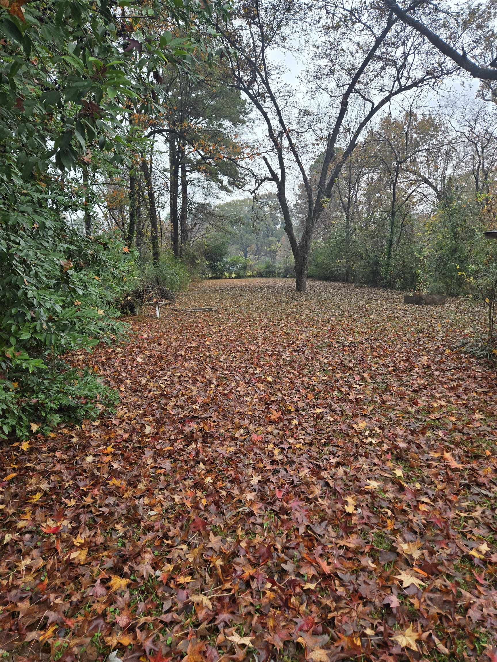 3580 Allandale Lane Memphis, TN 38111 - Photo 11 of 11 a view of outdoor space
