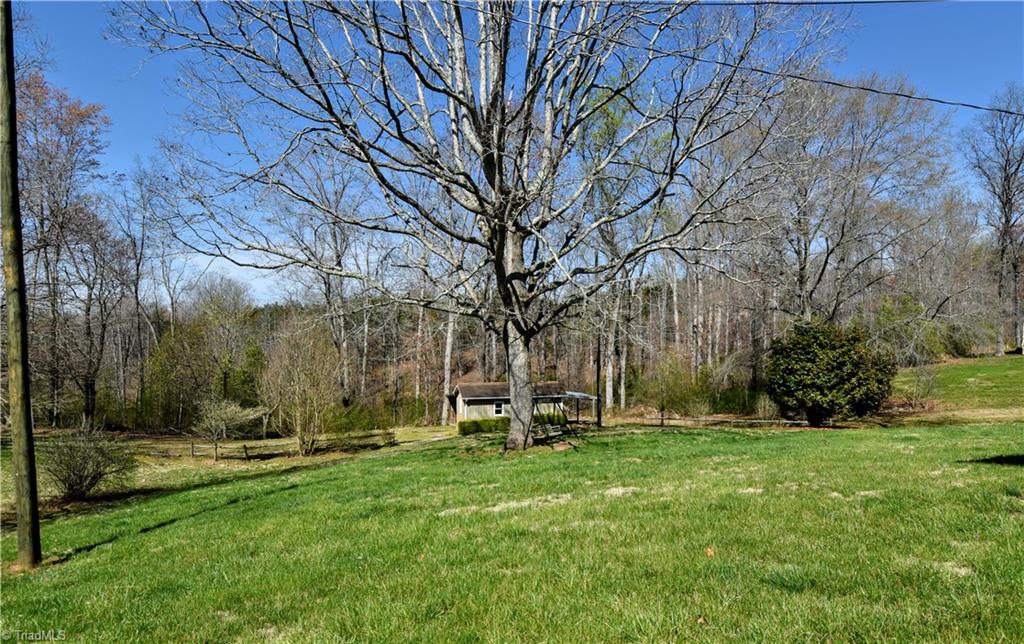 804 Shoals Road Pinnacle, NC 27043 - Photo 26 of 30