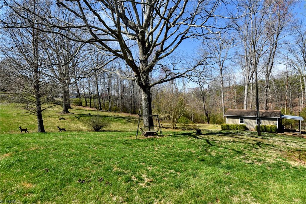 804 Shoals Road Pinnacle, NC 27043 - Photo 27 of 30