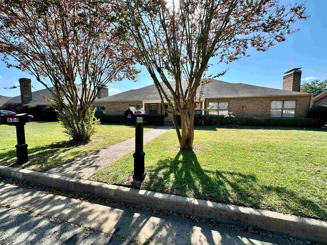 a view of a yard with a tree