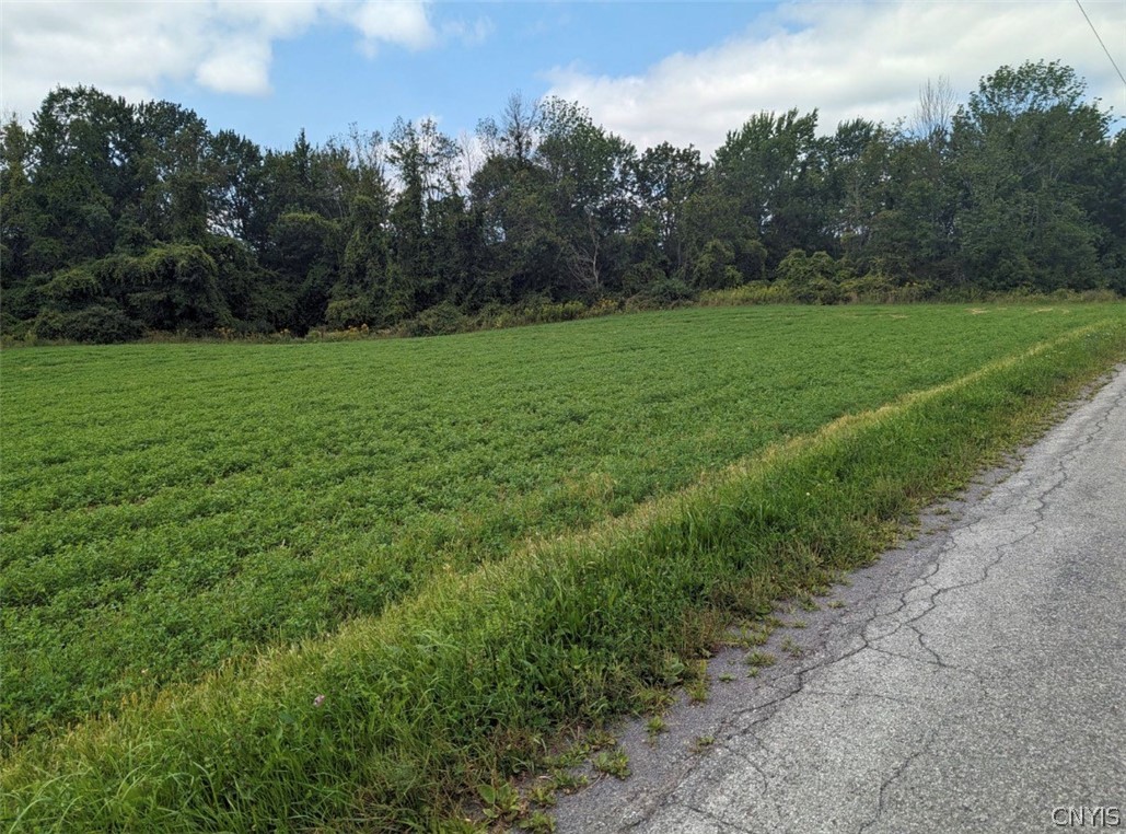 0 Old County Road Morrisville, NY 13408 - Photo 2 of 4 Gallery Image 2