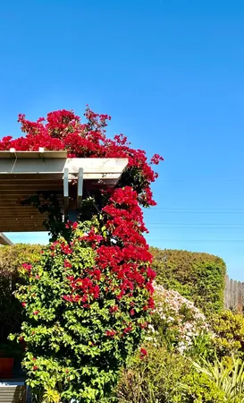 $809,900 | 408 Duperu Drive, Crockett, CA 94525