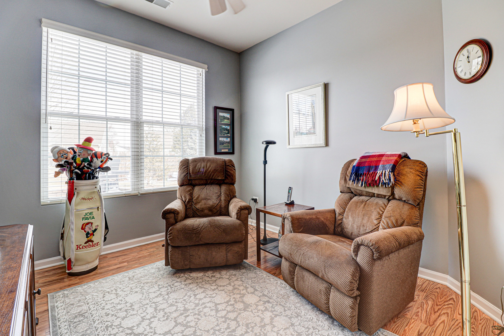 13616 Fallow Drive Huntley, IL 60142 - Photo 17 of 21 a living room with furniture and a potted plant