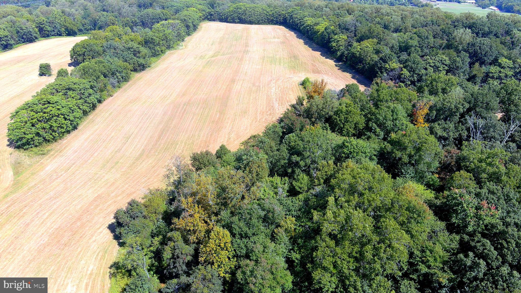 Whites Ferry Road Dickerson, MD 20842 - Photo 18 of 19 Gallery Image 18