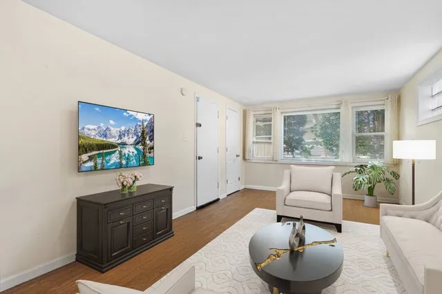 a living room with furniture and a potted plant