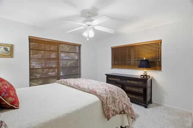 a view of a backyard with plants