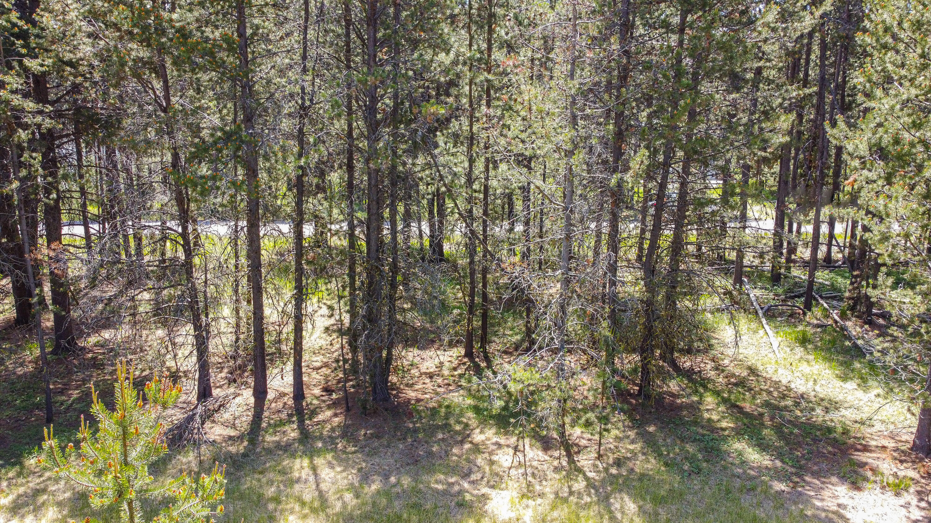 16944 Glendale Road Bend, OR 97707 - Photo 7 of 13 16944 Glendale-08