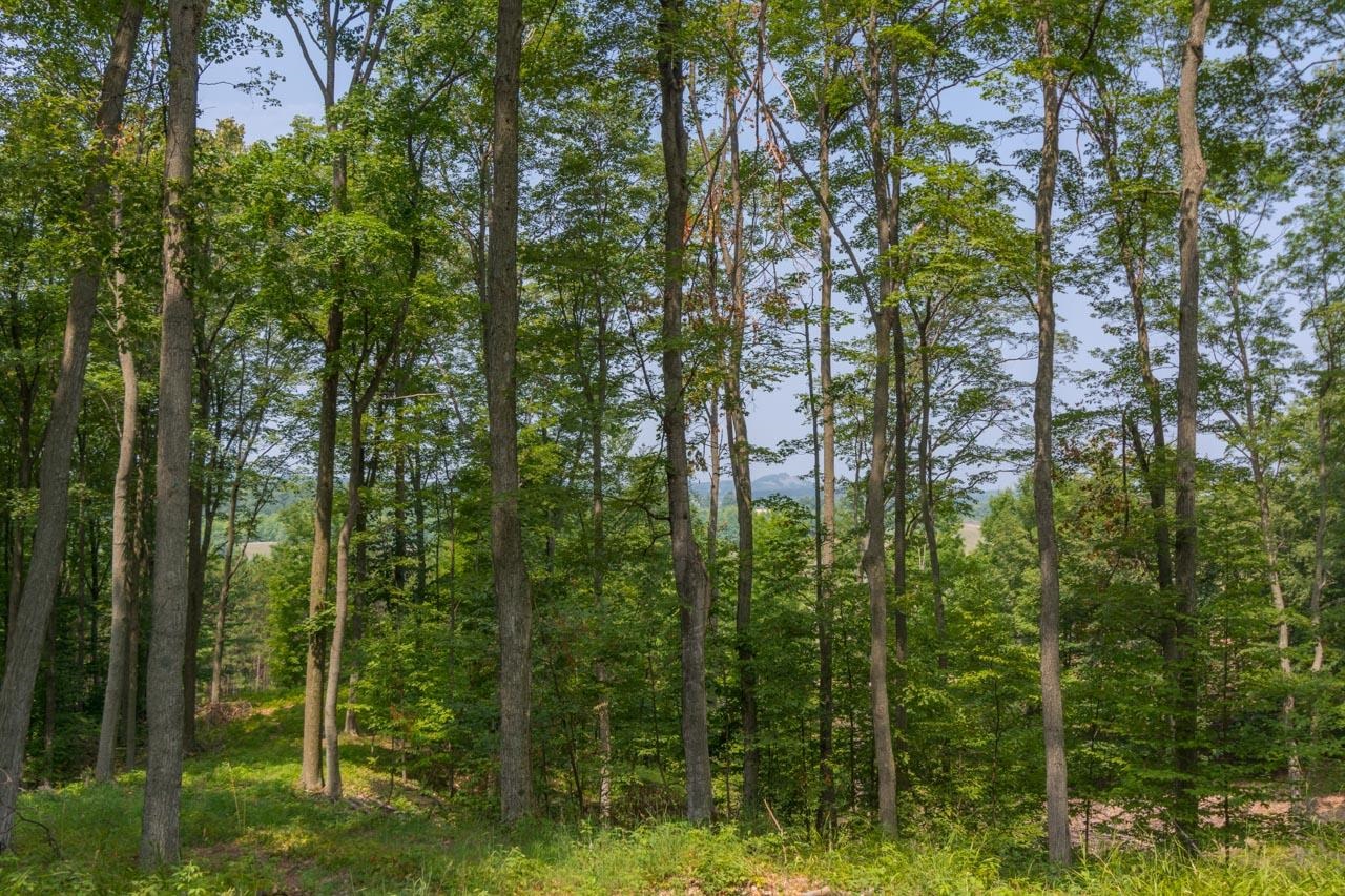 7557 South Schomberg Road Cedar, MI 49621 - Photo 5 of 52