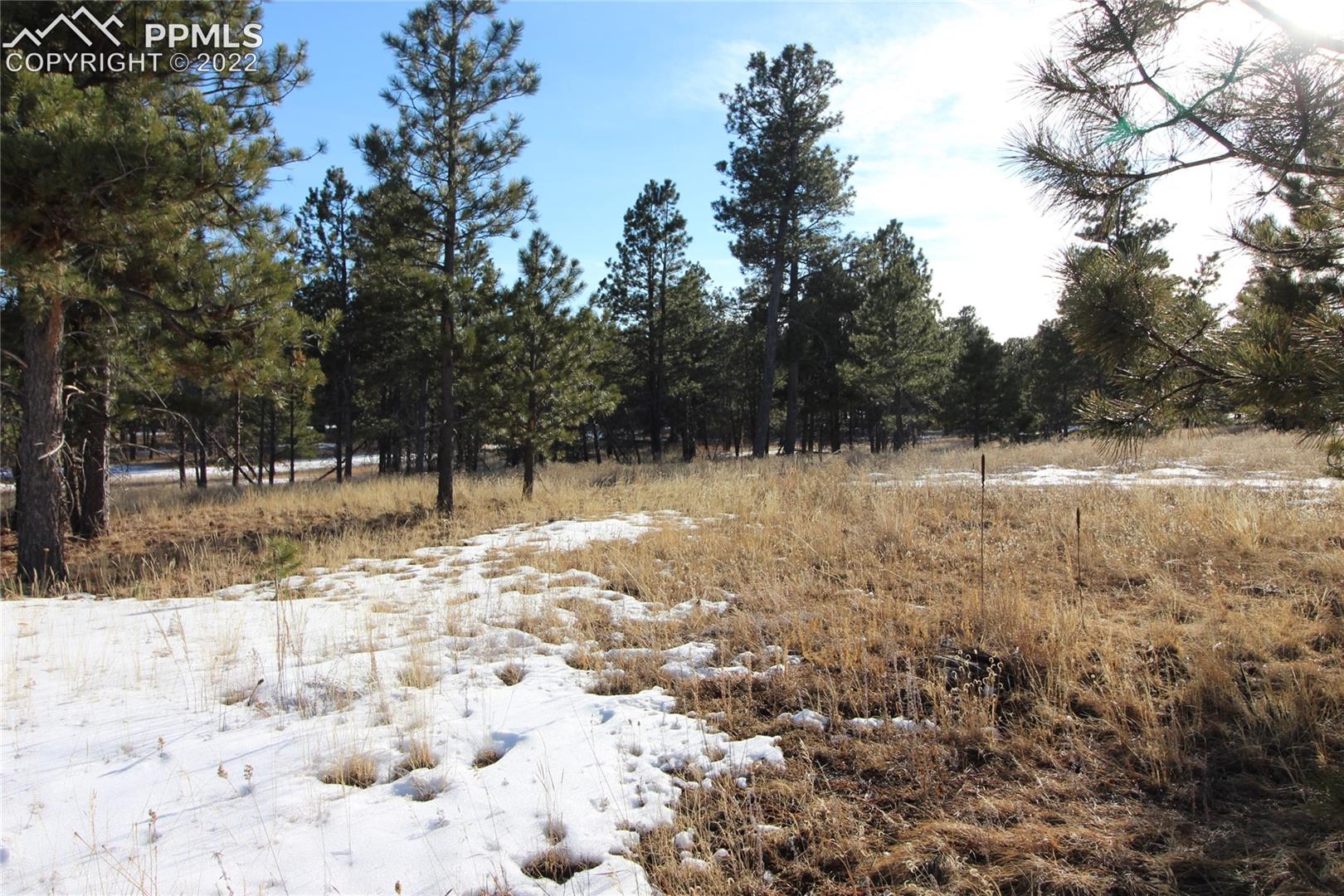12172 Goodson Road Colorado Springs, CO 80908 - Photo 1 of 4