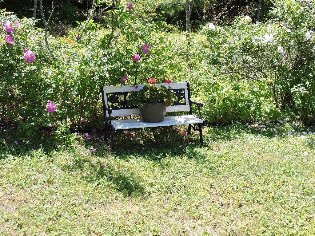 366 Jacob Buck Pond Road Bucksport, ME 04416 - Photo 30 of 34 Photo