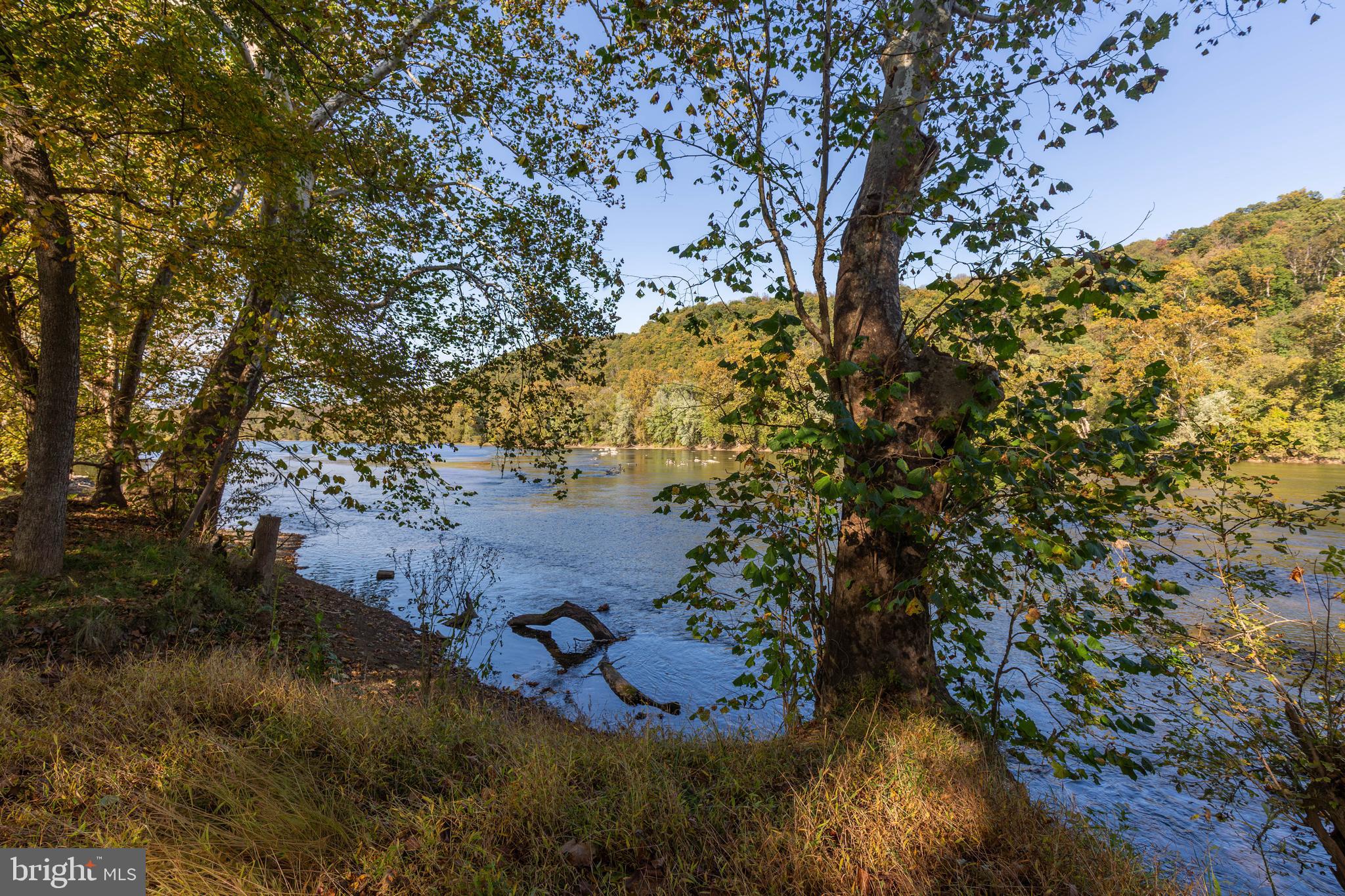 1312 John Rissler Road Charles Town, WV 25414 - Photo 24 of 24 a view of lake from yard