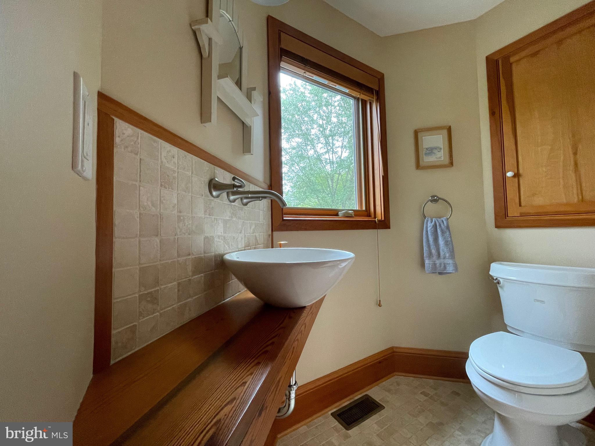 821 Long Mountain Road Washington, VA 22747 - Photo 19 of 24 a bathroom with a sink toilet and shower