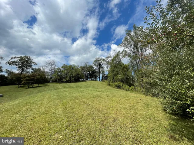 a view of a yard with an trees