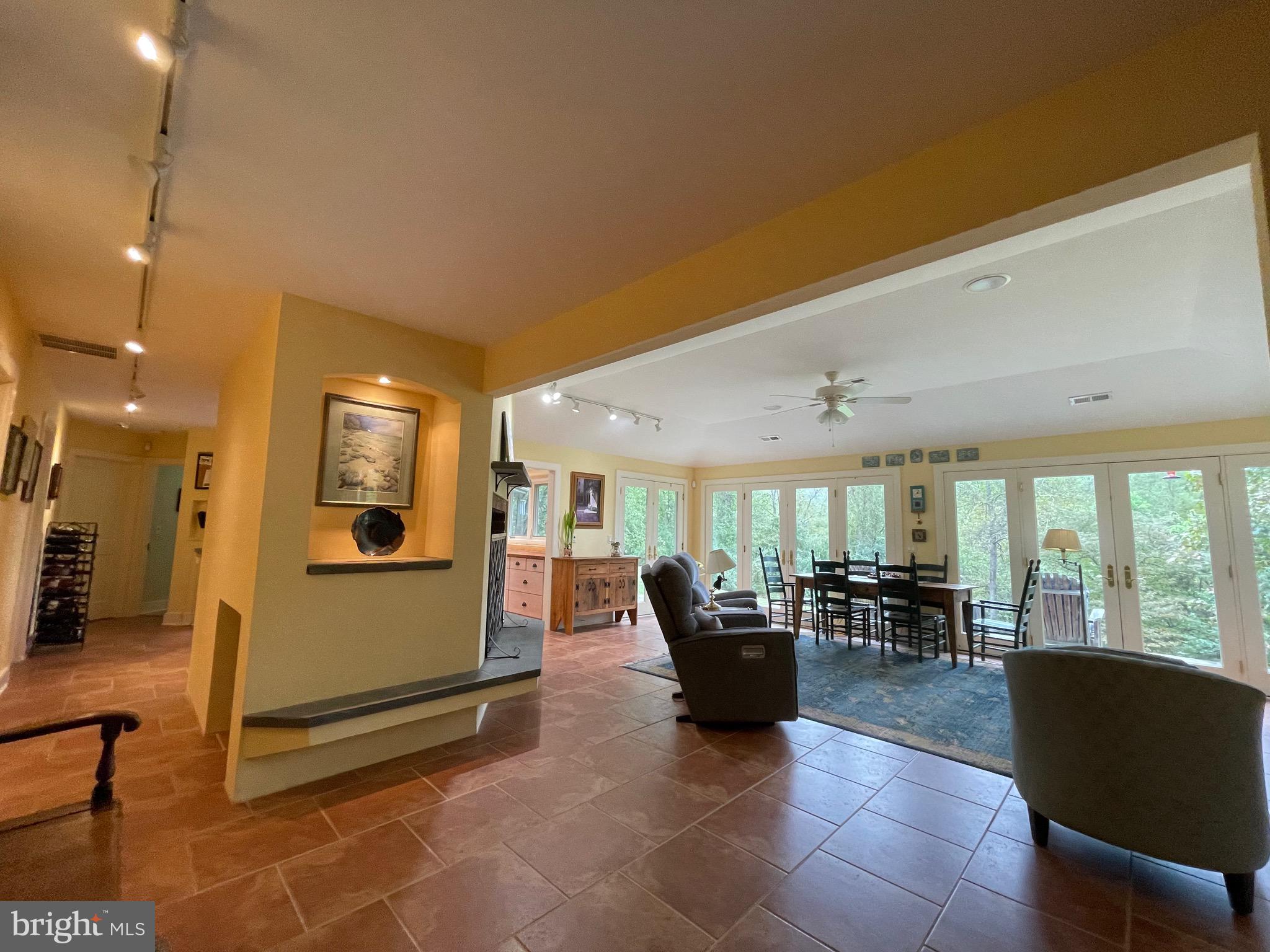 821 Long Mountain Road Washington, VA 22747 - Photo 6 of 24 a living room with furniture potted plant and a large window