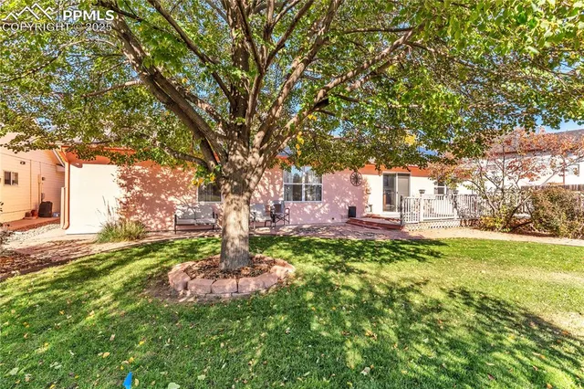 a view of a garden with a tree