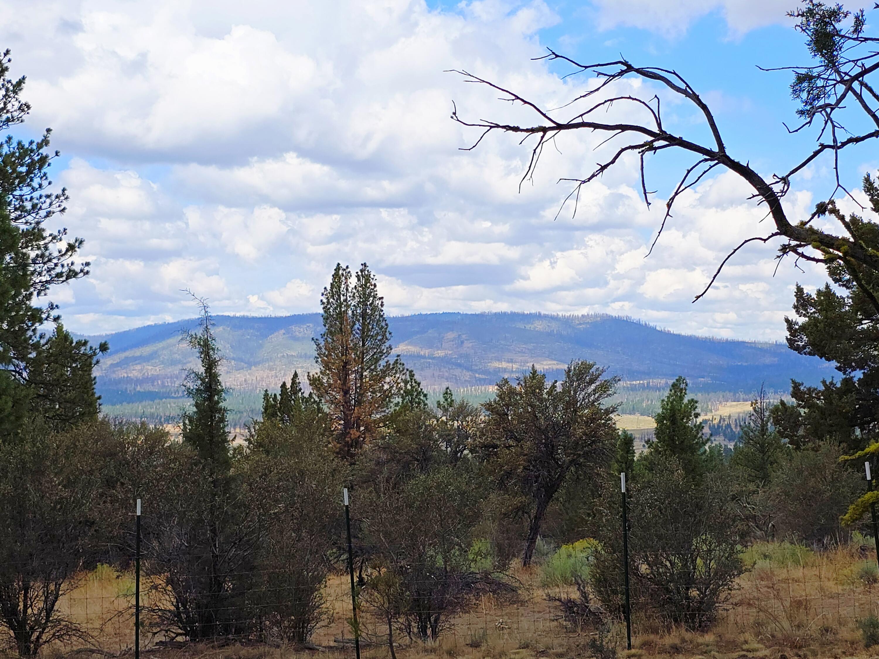 48070 Partin Drive Beatty, OR 97621 - Photo 18 of 29 The view