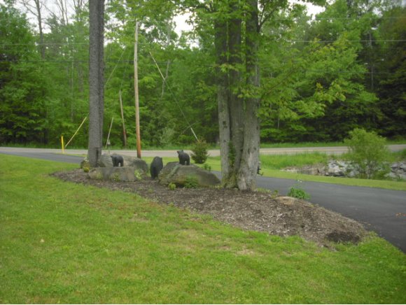 9276 State Rte 3004 Springville, PA 18844 - Photo 11 of 12