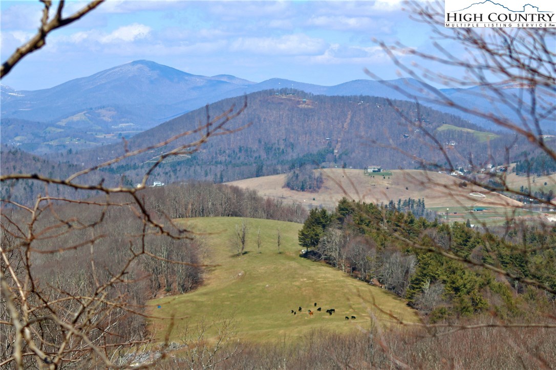 1270 Grandview Drive Extension Boone, NC 28607 - Photo 4 of 49 Gallery Image 4