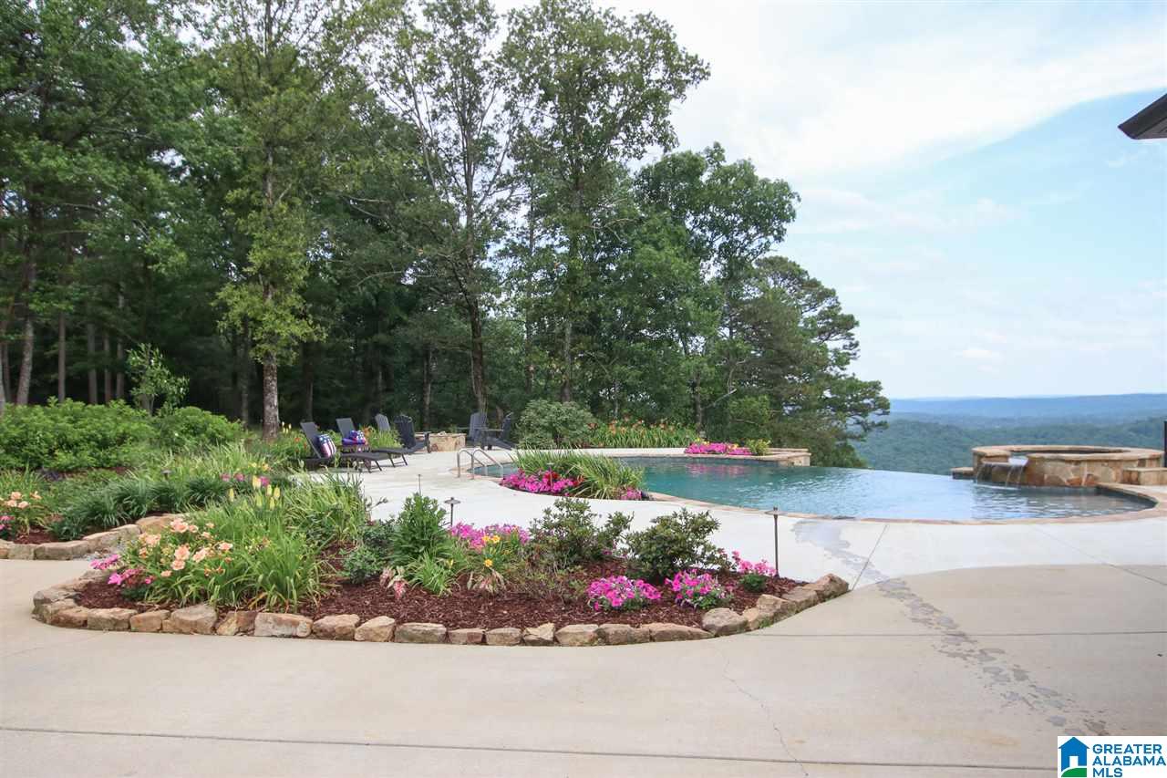 394 Drake Drive Springville, AL 35146 - Photo 36 of 49
