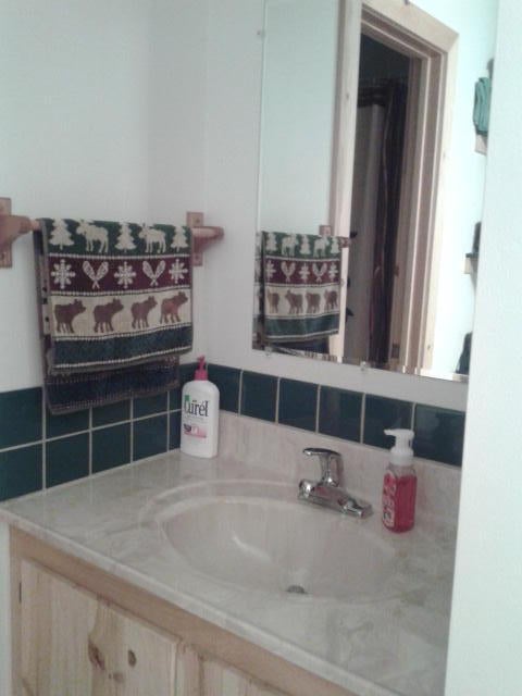 15315 Wurm Road Wolverine, MI 49799 - Photo 10 of 19 Gallery Image 10