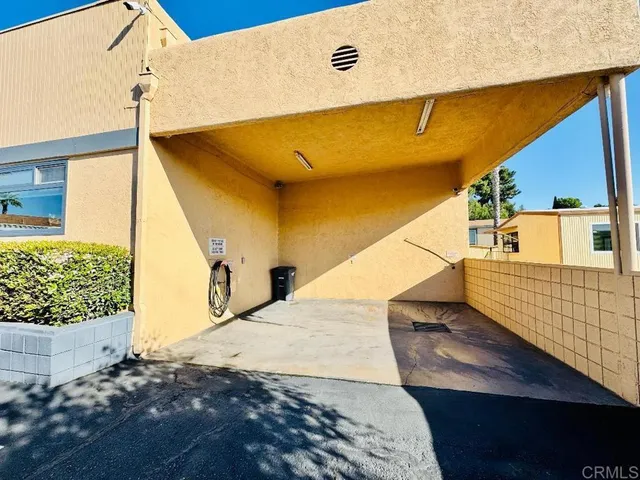 a room with furniture and a potted plant