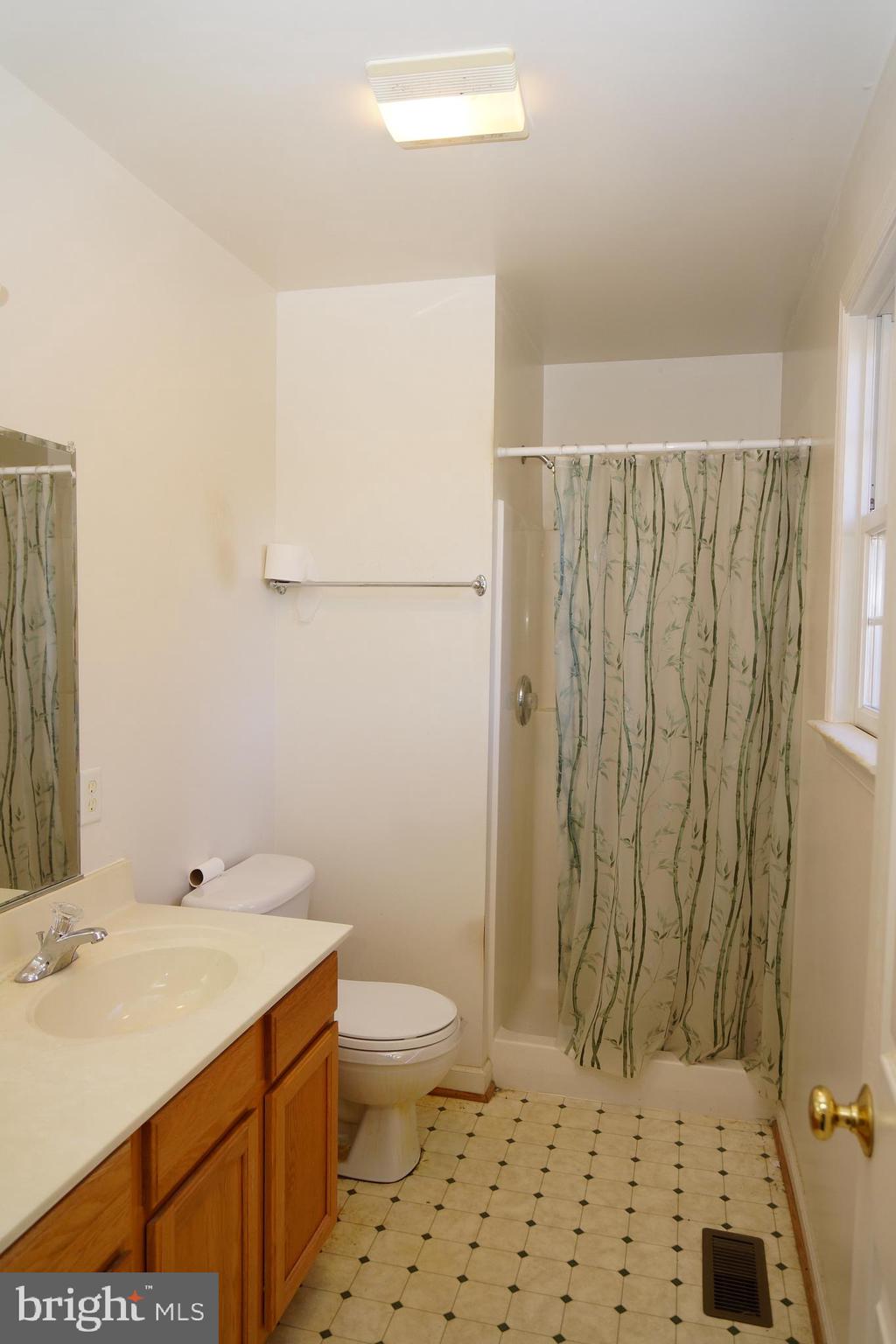 25 Sable Run Road Hancock, MD 21750 - Photo 26 of 58 Primary Bath w/walk in shower & dual sinks
