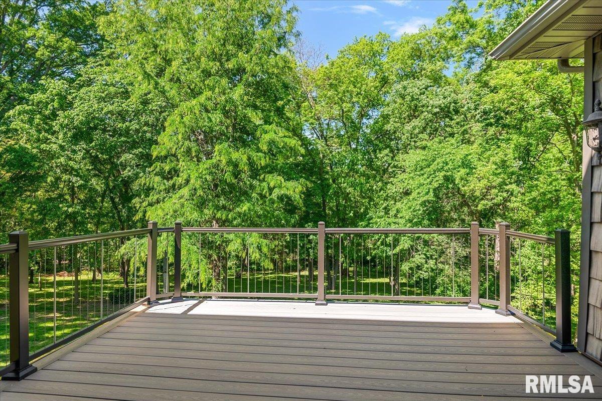 47 Woodland Trail Rochester, IL 62563 - Photo 24 of 99