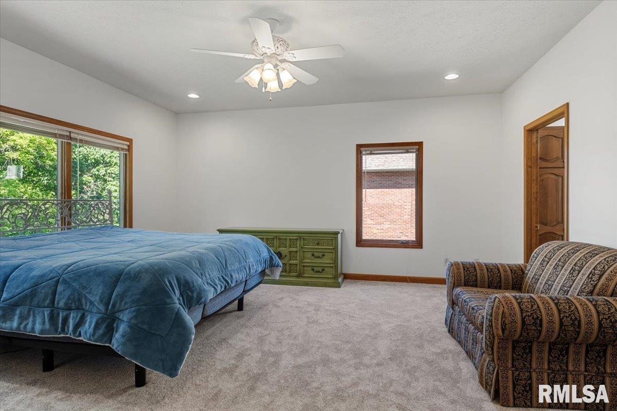47 Woodland Trail Rochester, IL 62563 - Photo 25 of 99