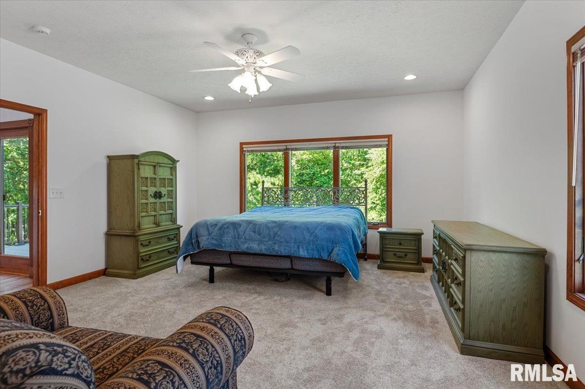 47 Woodland Trail Rochester, IL 62563 - Photo 26 of 99