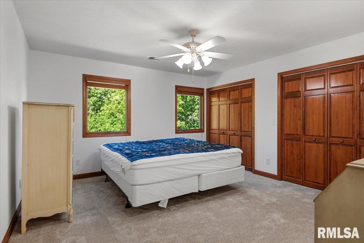 47 Woodland Trail Rochester, IL 62563 - Photo 37 of 99