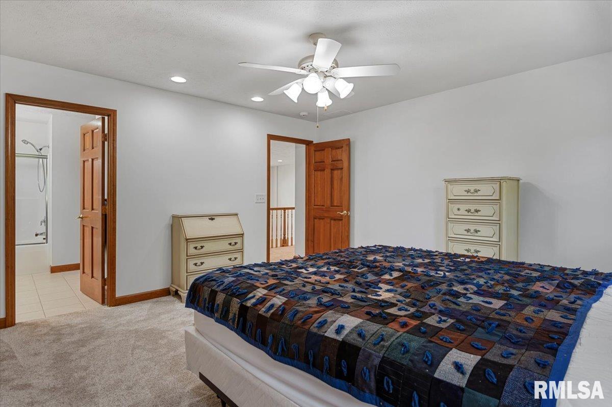 47 Woodland Trail Rochester, IL 62563 - Photo 38 of 99
