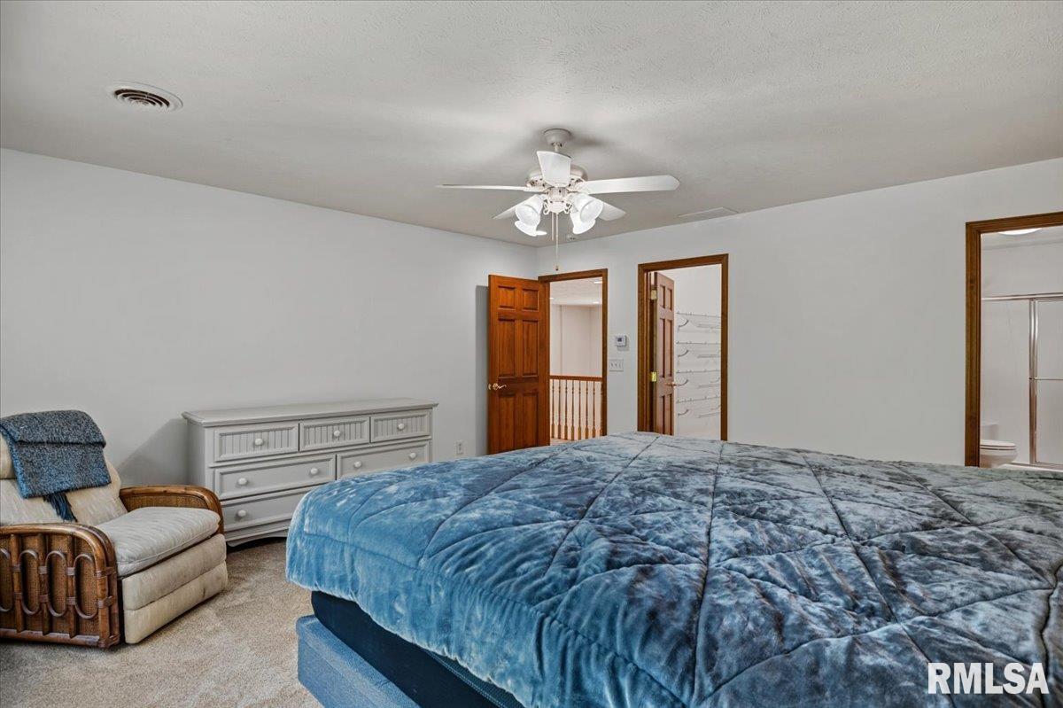 47 Woodland Trail Rochester, IL 62563 - Photo 47 of 99