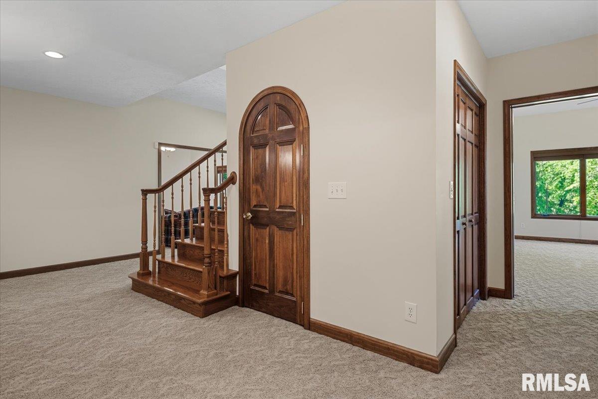 47 Woodland Trail Rochester, IL 62563 - Photo 50 of 99