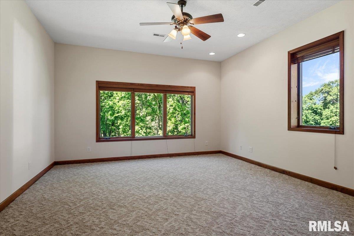 47 Woodland Trail Rochester, IL 62563 - Photo 63 of 99