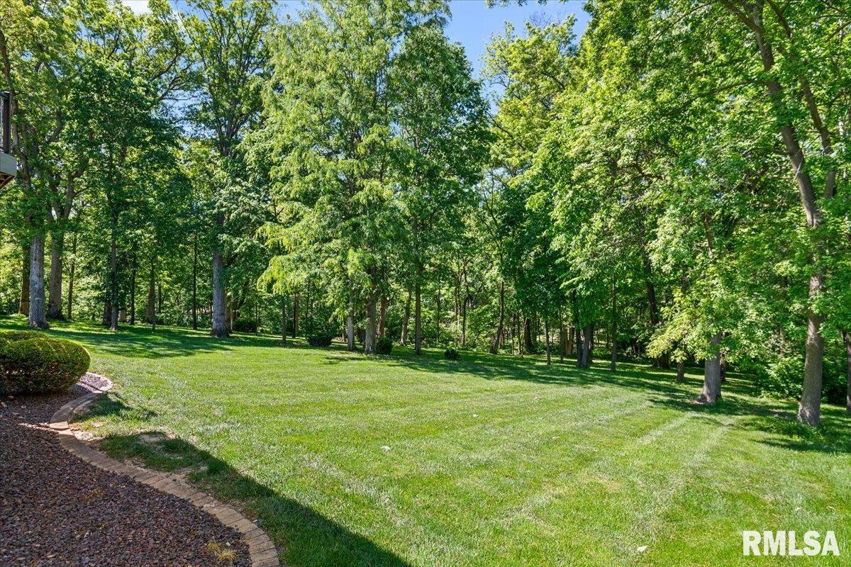 47 Woodland Trail Rochester, IL 62563 - Photo 67 of 99