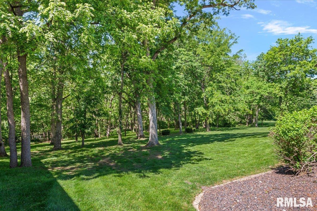 47 Woodland Trail Rochester, IL 62563 - Photo 74 of 99