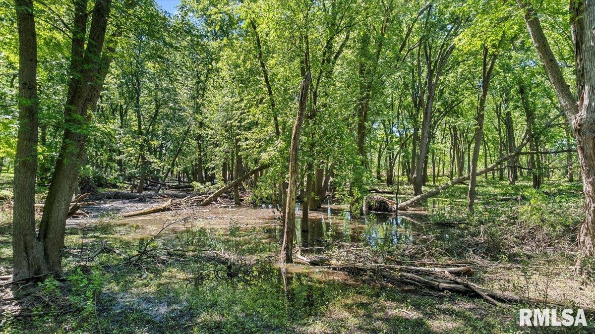 47 Woodland Trail Rochester, IL 62563 - Photo 76 of 99