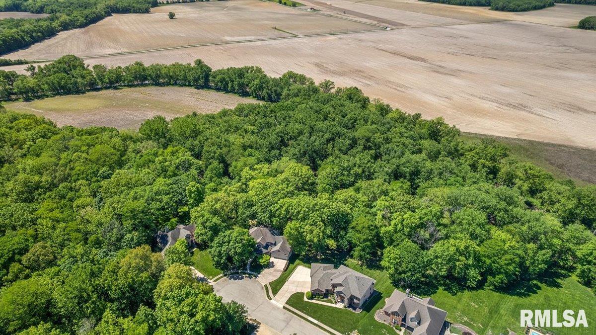 47 Woodland Trail Rochester, IL 62563 - Photo 79 of 99