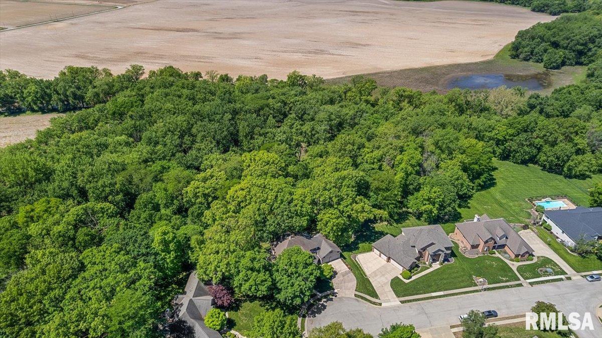 47 Woodland Trail Rochester, IL 62563 - Photo 80 of 99