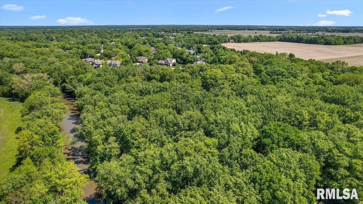 47 Woodland Trail Rochester, IL 62563 - Photo 83 of 99