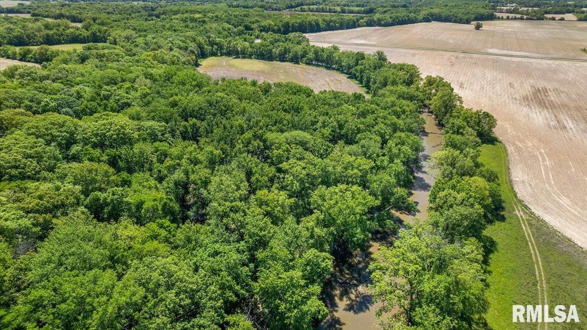 47 Woodland Trail Rochester, IL 62563 - Photo 85 of 99